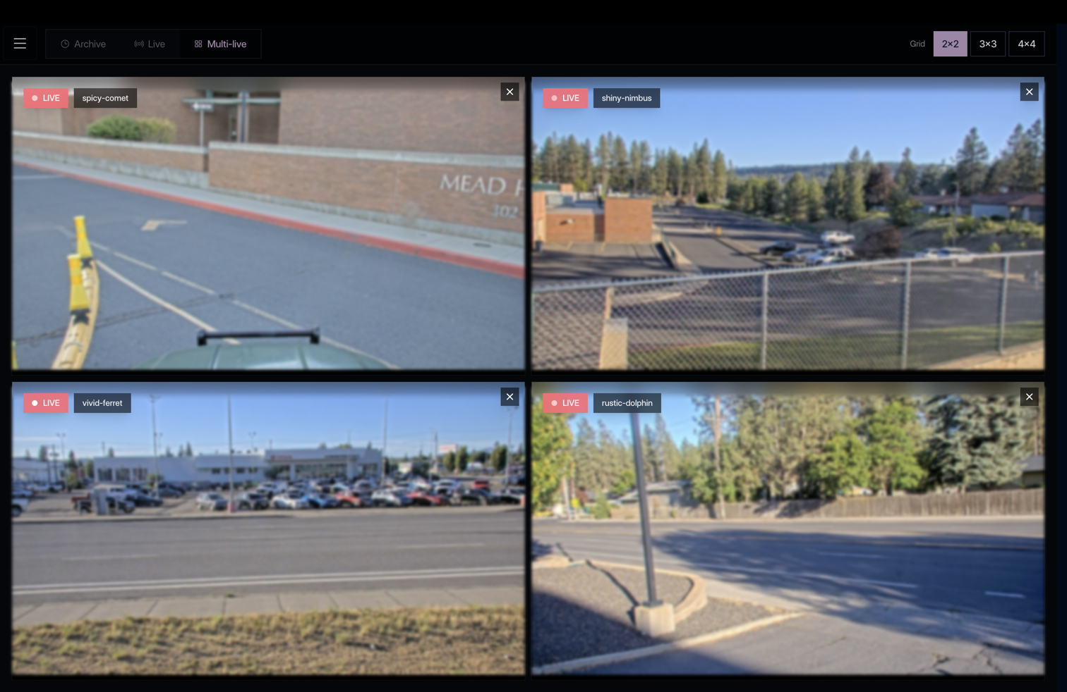 Multi-live camera grid monitoring four feeds simultaneously